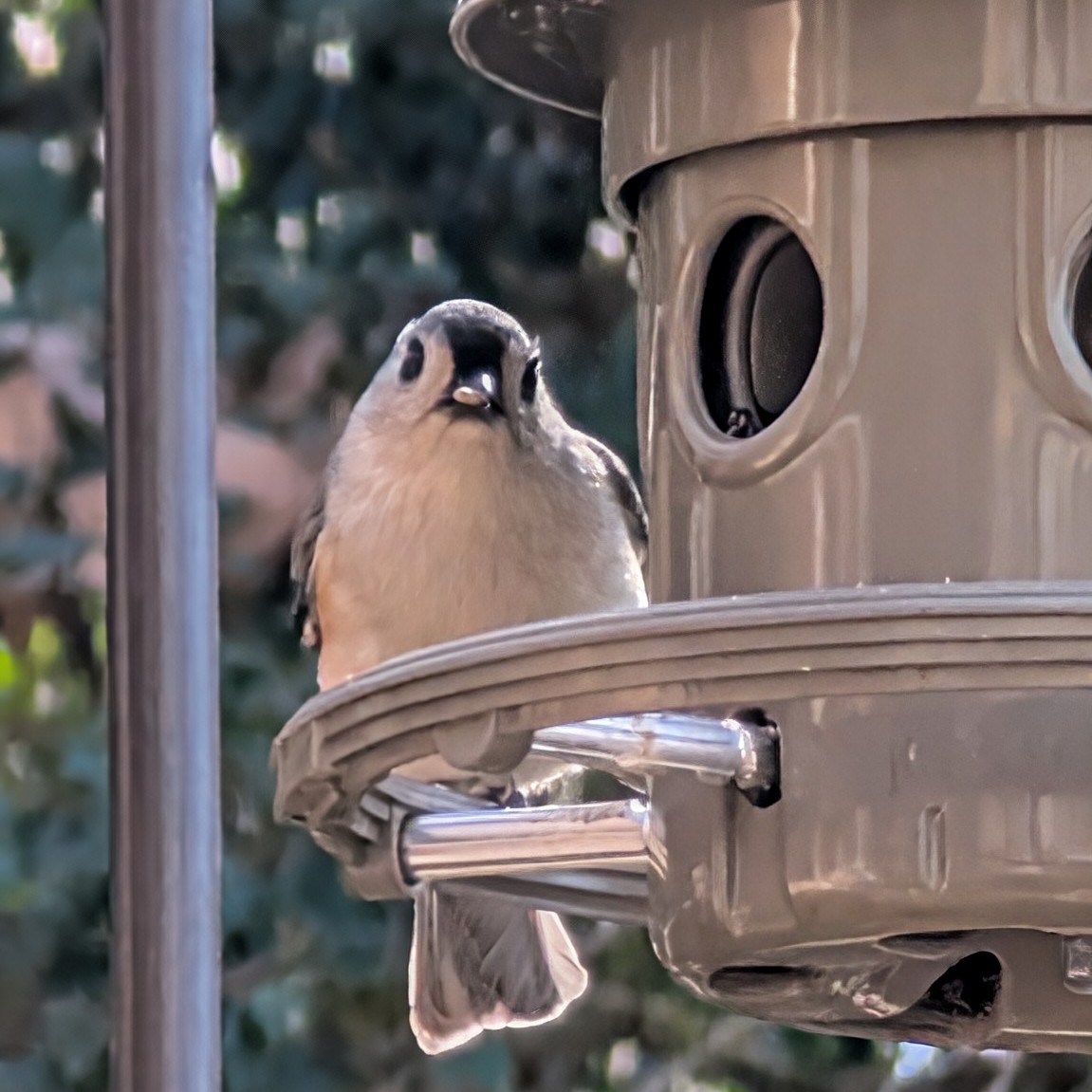 How to get things done